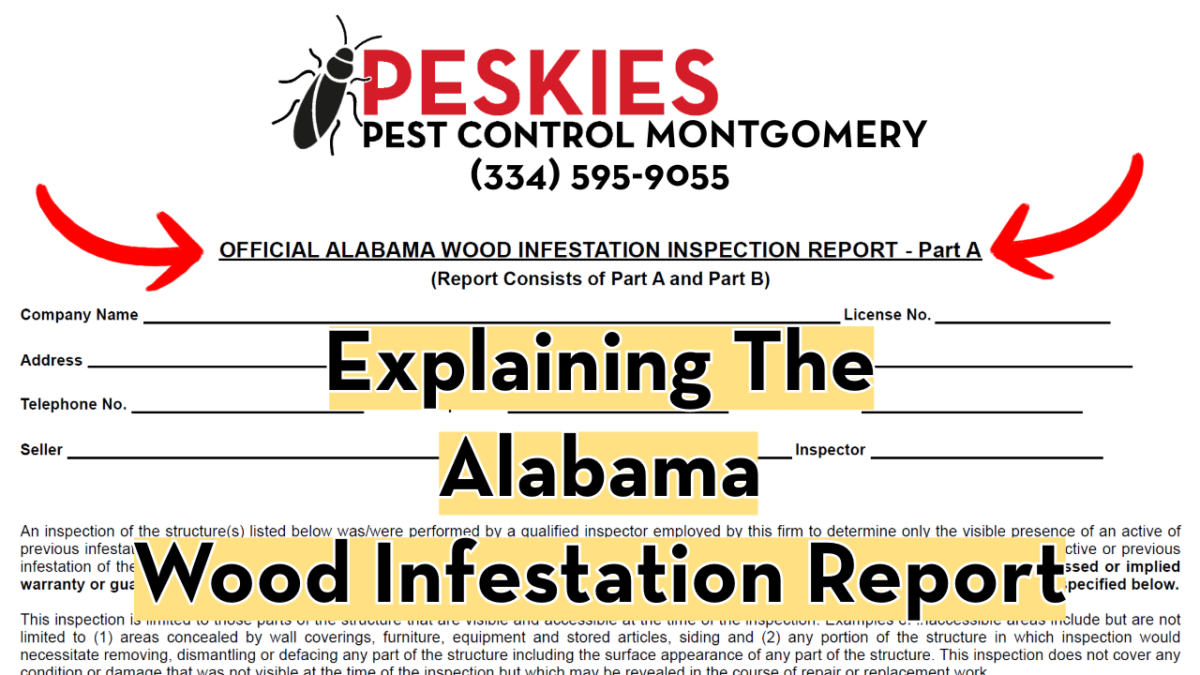 Peskies Pest Control Montgomery Alabama Wood Infestation Report