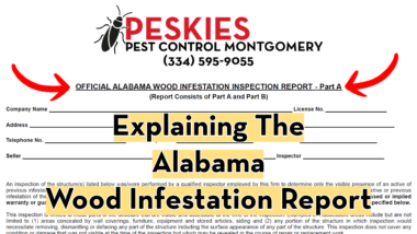 Peskies Pest Control Montgomery Alabama Wood Infestation Report