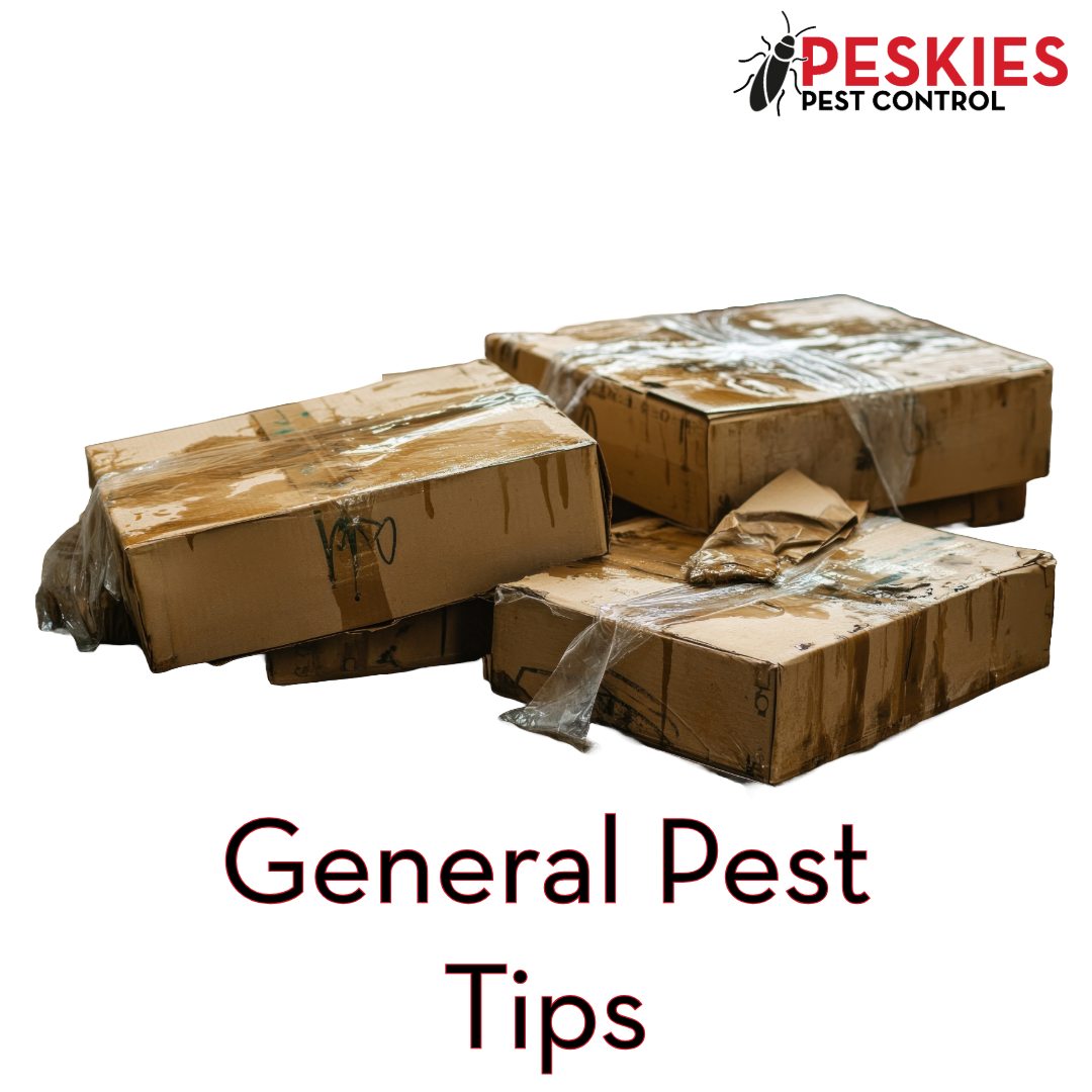 A photo showing wet cardboard boxes with the text "general pest tips" on the photo