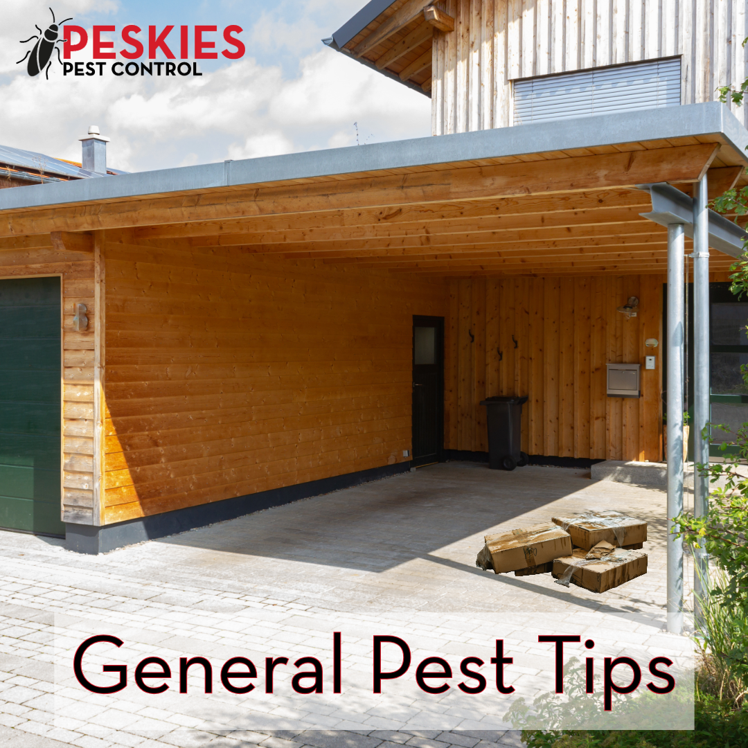 A photo showing wet cardboard boxes underneath the carport of a house with the words "general pest tips" on the photo