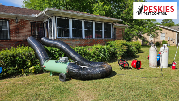 Professional bed bug heat treatment setup outside a brick home, featuring a propane-fired heater, large mylar ductwork running into the house, and propane tanks on the lawn