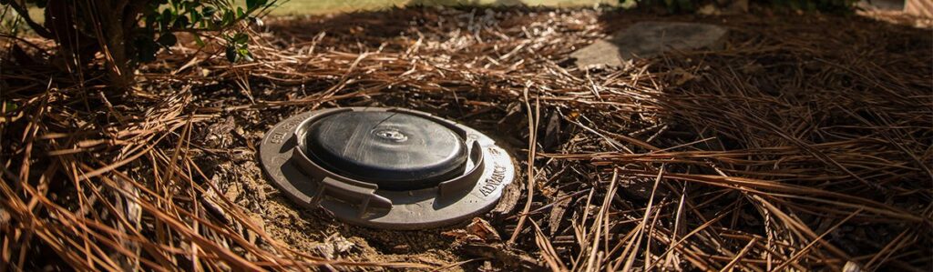 Photo showing the top of a Trelona ATBS bait station placed in the pine straw bed around a customers house.