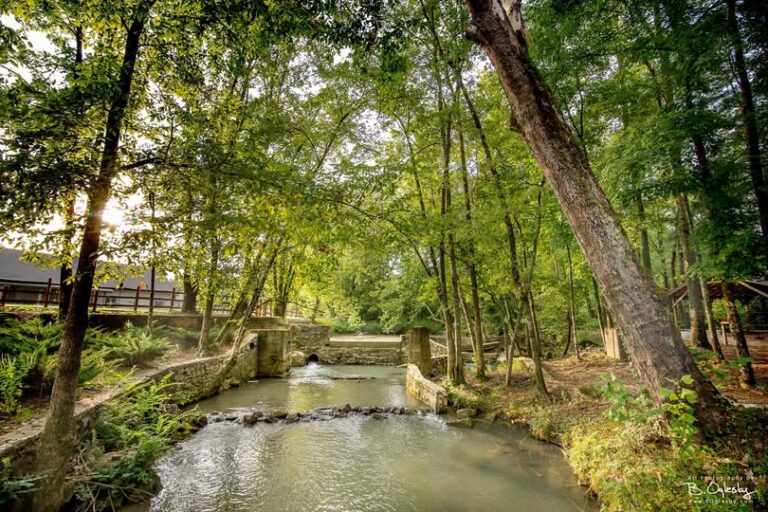 The historic Buck Creek Mill area in Alabaster, Alabama, featuring a stone-lined creek with a small dam and waterfall surrounded by a lush forest canopy at sunset.