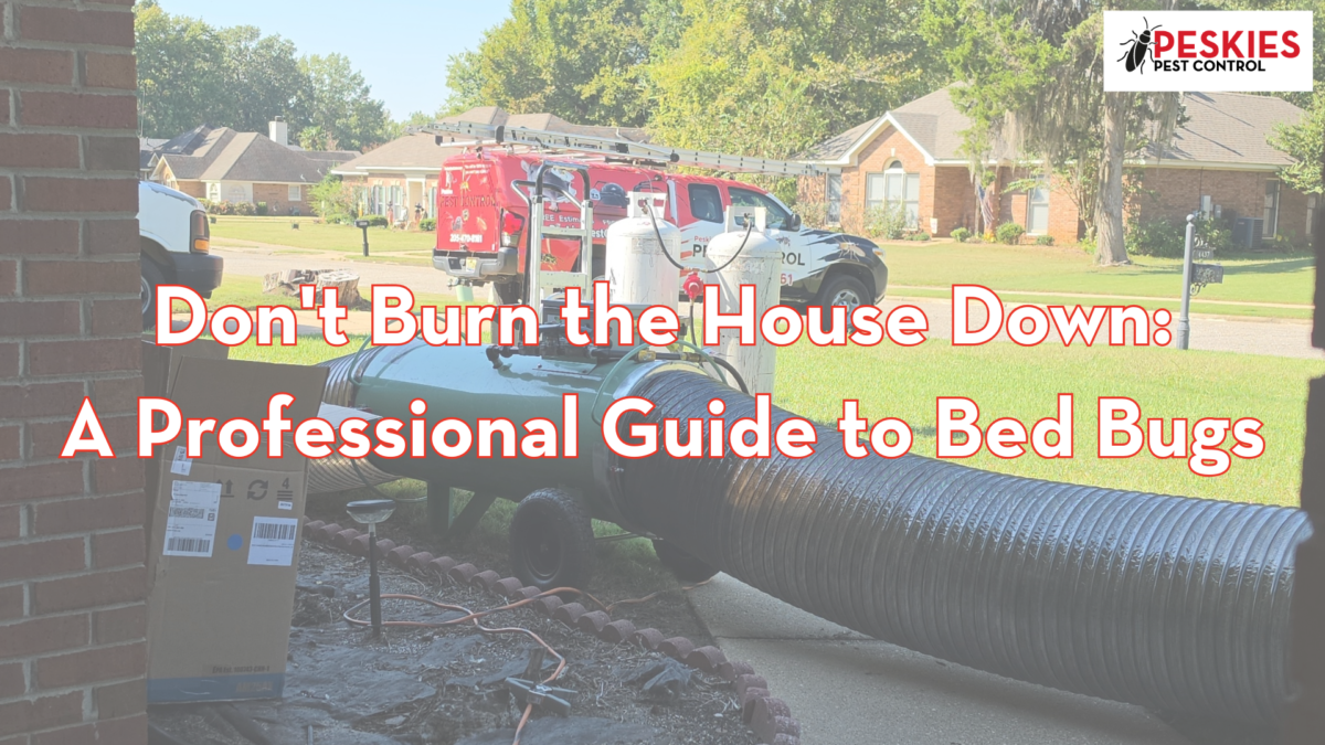 Professional propane bed bug heater with large black ductwork running into a house, with Peskies Pest Control service trucks parked in the background.